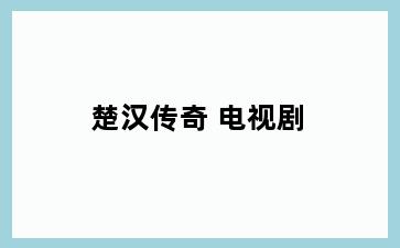 楚汉传奇 电视剧